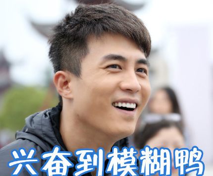 杜淳 帅气 国庆长假 文字表情包 搞笑