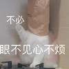 萌宠 猫星人 不必 眼不见心不烦 呆萌 可爱