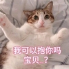 萌宠 猫星人 我可以抱你吗 宝贝 搞怪 逗