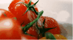 清洗 烹饪 番茄 美食系列短片 烤鳕鱼系列