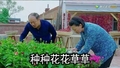 谢广坤 乡村爱情 搞笑 种种花花草草