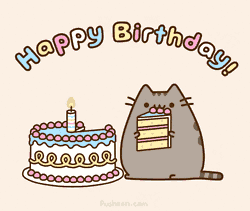猫咪 可爱 过生日 吃蛋糕