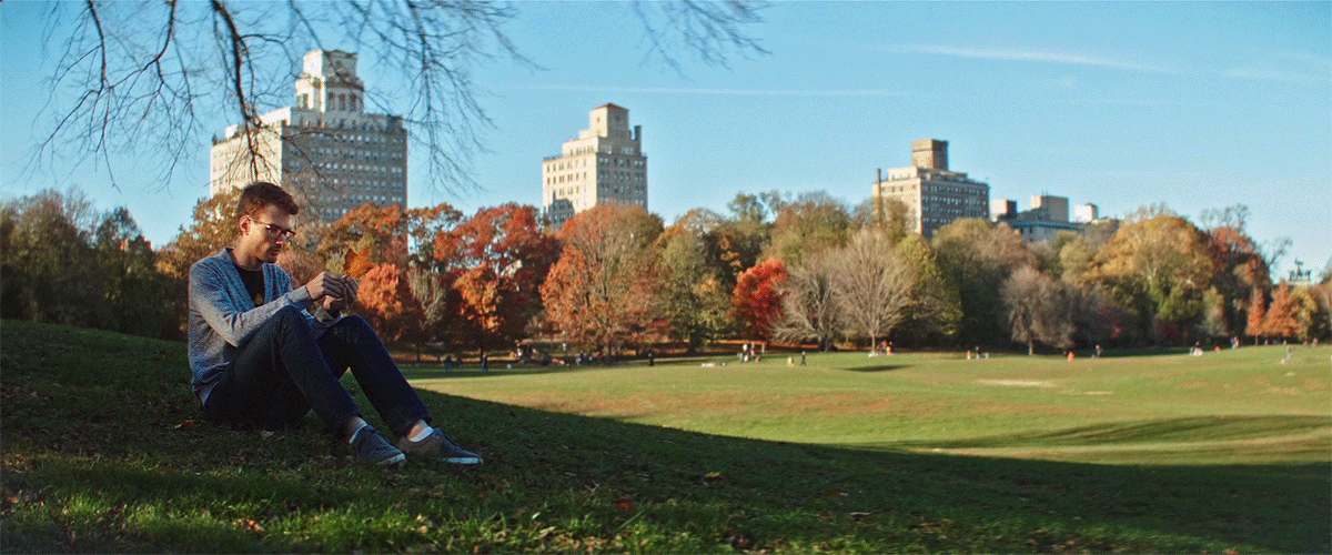 季节 ,公园 ,秋天 ,前景