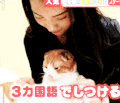 美女 猫咪 抚摸 有爱