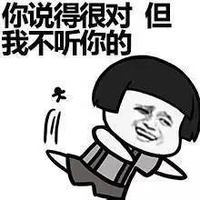 你说得很对 但我不听你的 恶搞 坏笑