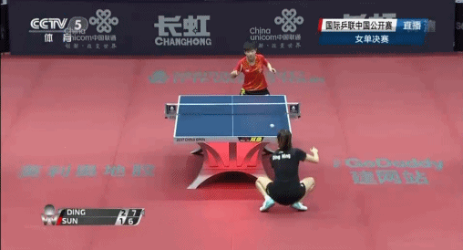 巡回赛 中国 乒乓球 冠军