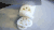 莲藕 食物 蔬菜
