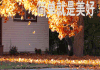 容易