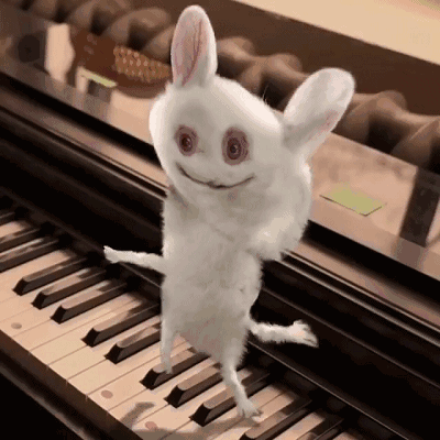 小兔 蹦跳 弹钢琴 开心
