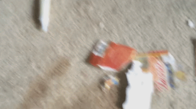 热狗 hot dog food