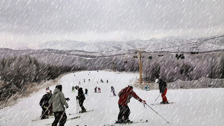 下雪 滑雪 玩耍 雪地