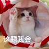 萌宠 喵星人 这题我会 这个我知道 聪明 机智
