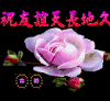 老年表情包 文字表情包 动态图 祝福话语 魔性