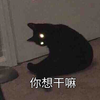 萌宠 喵星人 你想干嘛 咋了 搞怪 逗