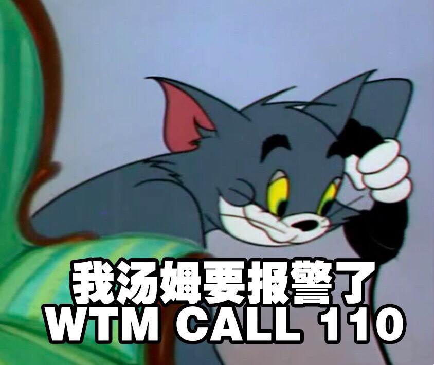 猫 我汤姆要报警了 WTMCALL110