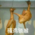 鸡笼 鸡笼警告 骚鸡锁喉