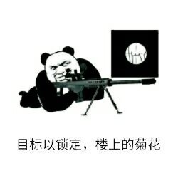 金馆长 熊猫 机关枪 射击 目标锁定 楼上的菊花