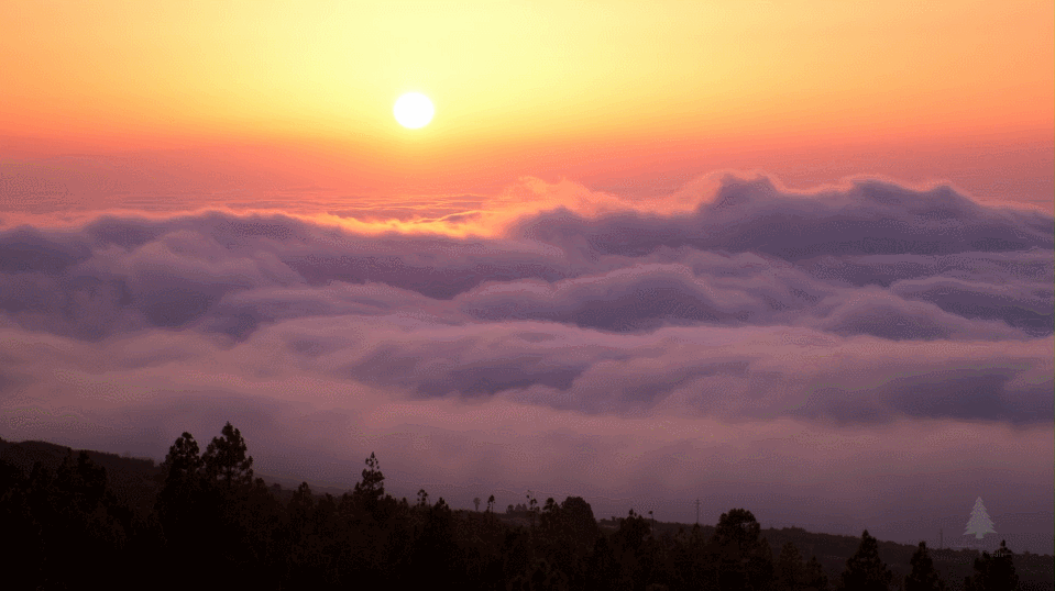 太阳 sun nature