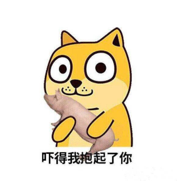 狗狗gif 小猪gif 可爱gif 吓得我抱起了你gif