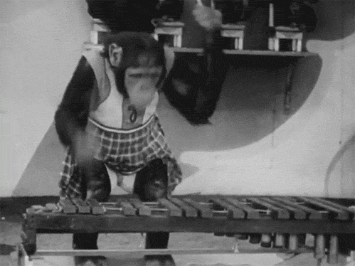 猴子 猩猩 木琴 音乐