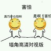 卡通 红脸蛋 真巧你也害怕 是啊害怕 墙角高清对视板