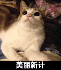 可爱 玩耍 配合 美丽新计