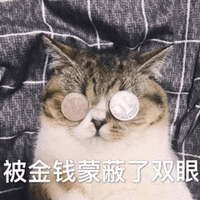 猫 萌宠 喵星人 被金钱蒙蔽双眼