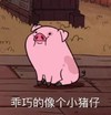 乖巧的 像个小猪仔 恶搞 可爱