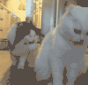 狗狗 舔爪子 同步 可爱