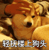 摸楼上狗头 搞笑 狗狗 狗子