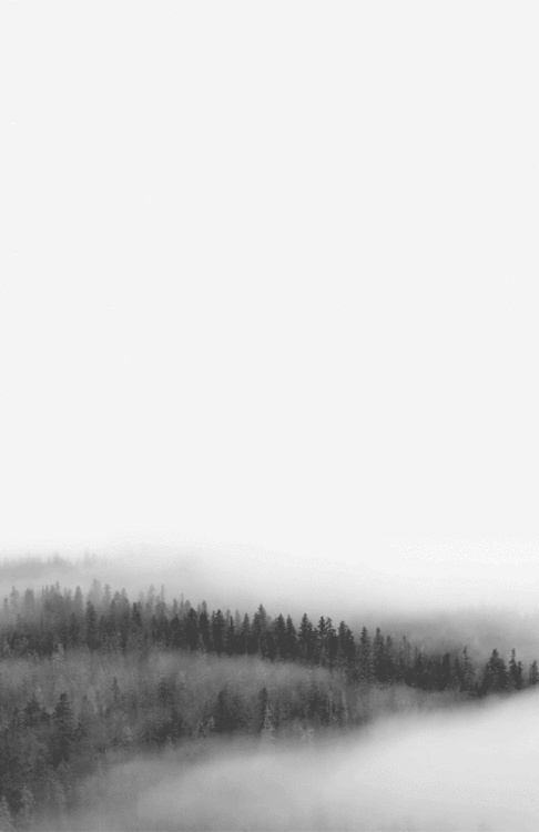 雾 mist nature 山雾 风 云海 美景 自然 风光