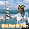 亲爱的客栈 阙清子 看见我的棍了吗 soogif soogif出品