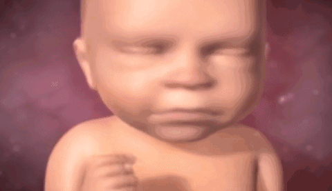 宝宝 胚胎 婴儿 摇头