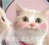 萌宠 猫星人 我怎么这么可爱 开心 呆萌 可爱