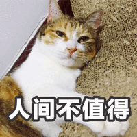 人间 不值得 猫 可爱 呆萌