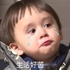 本特利 萌娃 生活好苦 可爱 搞笑 逗