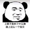 暴漫 熊猫头 上辈子是积了什么德 遇上这么一个宝贝 搞怪 逗