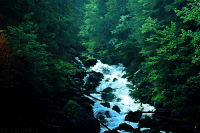大山 河水 水流 绿树