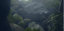 Paul&Wex 塞舌尔群岛 石头 纪录片 细雨 风景
