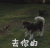 王可可 去你的