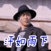 终极三国 汗如雨下 叶赫那拉