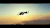 亚当·斯科特 skydiving 黄昏 跳伞