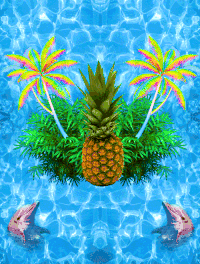海豚 dolphin