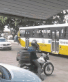 公交车 摔倒 树 摩托车