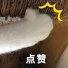 萌宠 猫星人 点赞 猫爪 呆萌 可爱