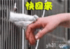 图片  美图   不要走  快回来