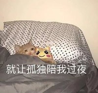 萌宠 猫星人 就让孤独陪我过夜 无奈 呆萌 可爱