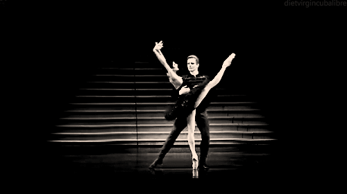 舞伴 芭蕾 天鹅 漂亮