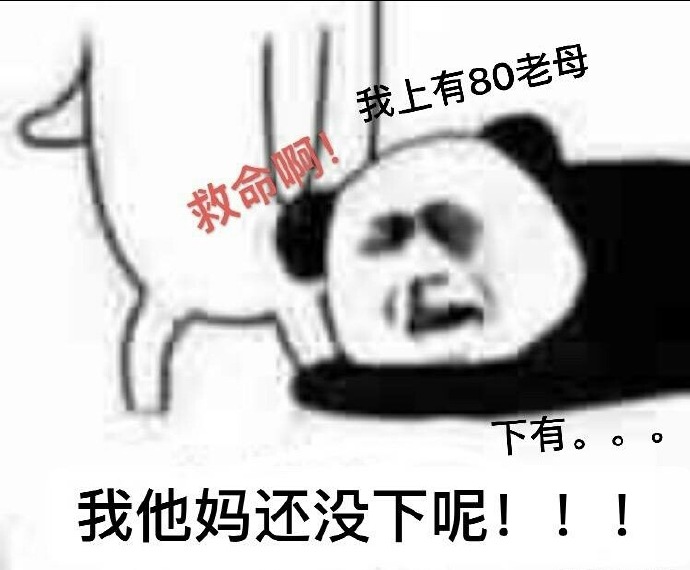 流浪地球 搞笑 文字表情包 电影 熊猫头