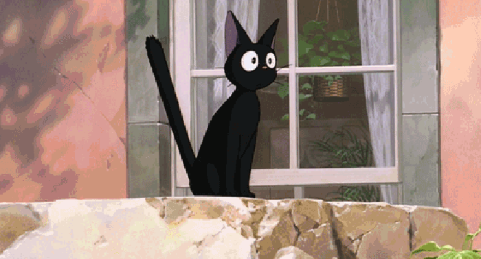 动漫 黑猫 惊讶 毛发